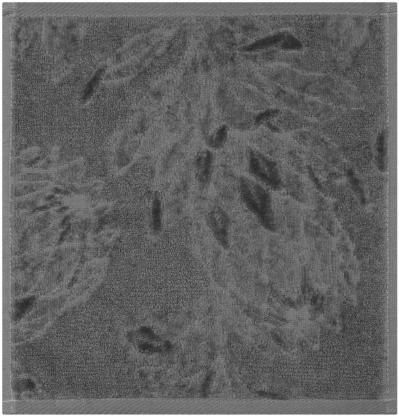 Glodina Kirstenbosch Face Cloth Cotton Face Towel (Grey, 30 cm x 30 cm)