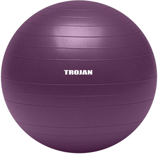 [MDBH7UY2G8XVHKGG] TROJAN GCAC01_6 Medicine Ball (Weight:  1.33 kg, Purple)