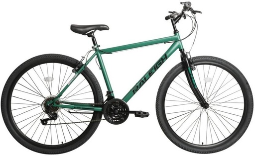 [CYCHEF4GD6KNEMUM] Raleigh Everest MTB 29 inch (21 Gear, Green)