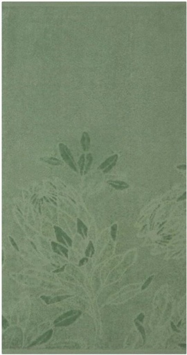 [BTWH4U4ASD7JEEZG] Glodina Kirstenbosch Hand Towel Cotton Hand Towel (Olive, 90 cm x 50 cm)