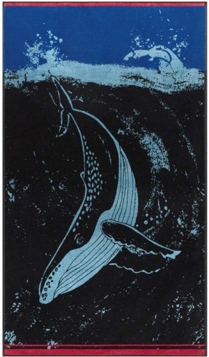 [BTWH4U4C7WNHZJQJ] Colibri Velour Bath Towel Cotton Bath Towel (Multicolor, 150 cm x 90 cm)