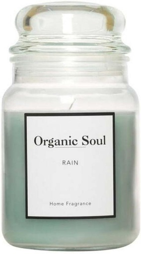 [CNDHDGYXVHTPG7UQ] Organic Soul Dome Candle Assorted (each sold separately) (Multicolour, Pack of 1)