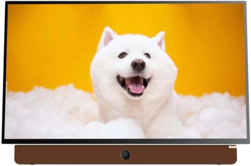 [TVLH9SZQMJBYHPFS] SKYWORTH 60 cm (24 inch) LED Full HD Google TV 2024 Edition