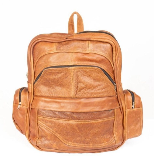 [BAGH62HB5XZWS2BH] Lebocode Genuine Leather Laptop Backpack Backpack (Brown, 10 L)